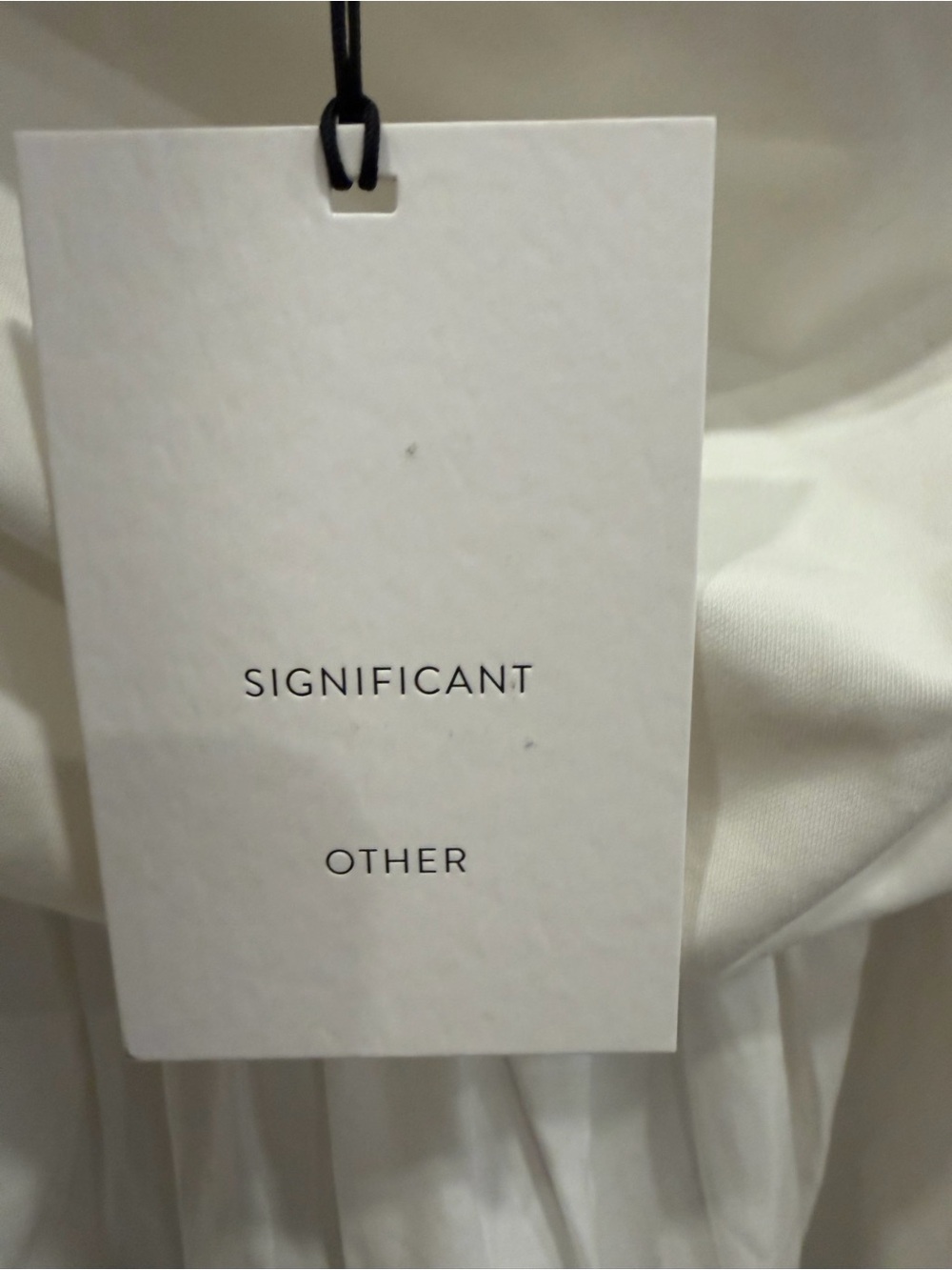 Significant Other Ariya Ruched Maxi Halter Dress Ivory size 2 NWT - Picture 8 of 13